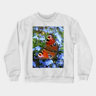 Peacock Butterfly Crewneck Sweatshirt